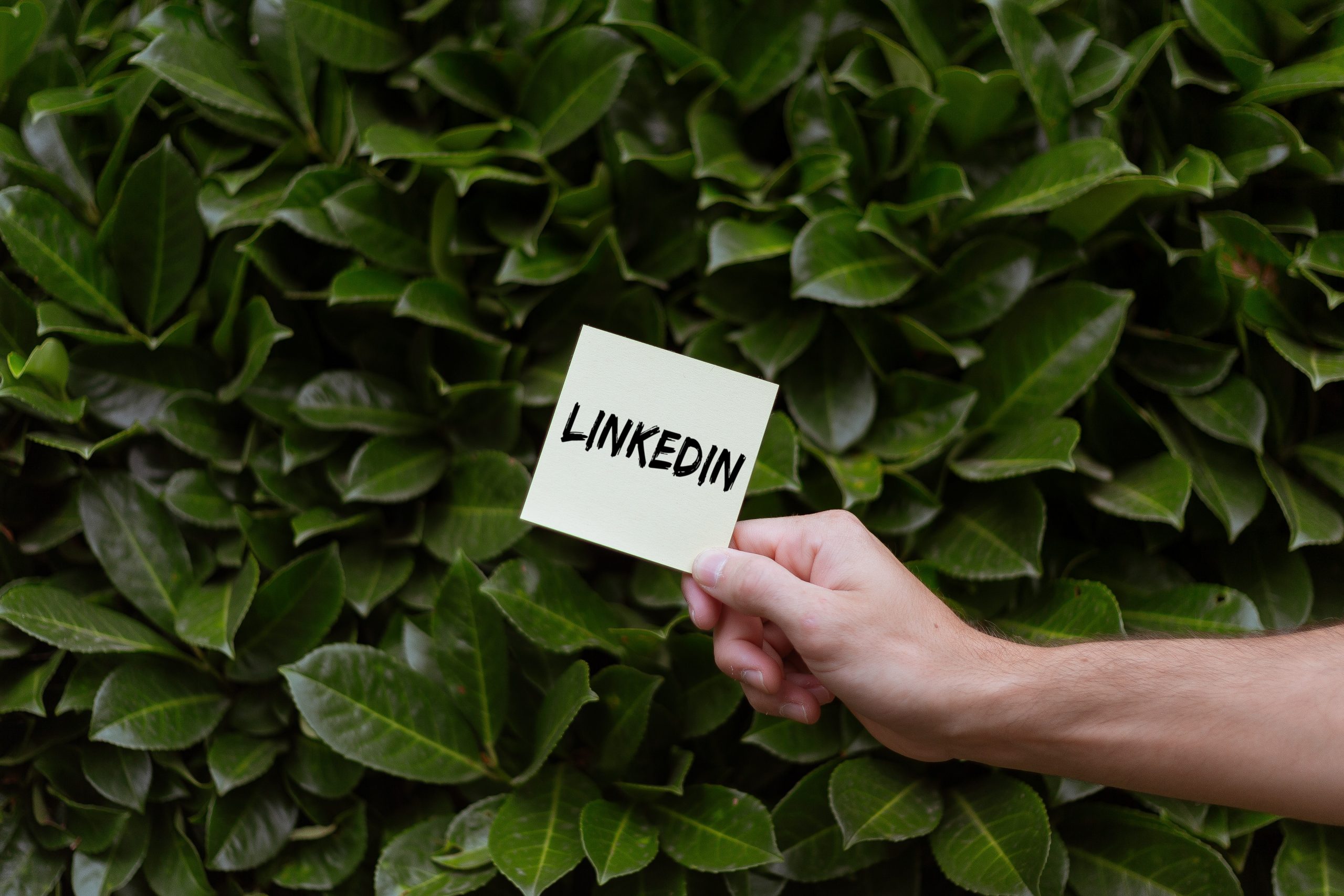 Tres formas de generar clientes potenciales con LinkedIn